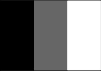 Noir / gris graphite / blanc