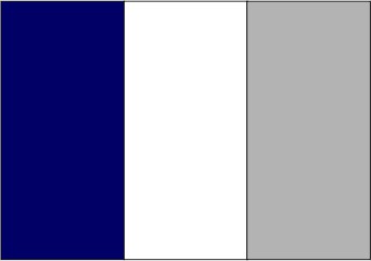 Bleu marine / blanc / gris