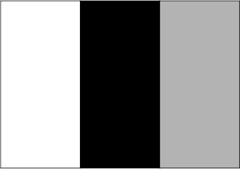 Blanc / noir / gris