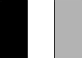 Noir / blanc / gris