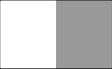 Blanc / gris foncé