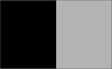 Noir / gris clair