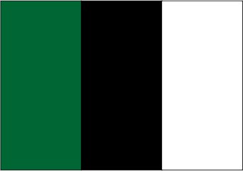Vert bouteille / noir / blanc